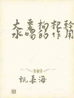 大枣枸杞干姜泡水喝的作用