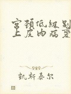 宫颈低级别鳞状上皮内病变是什么意思?