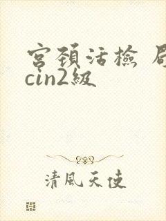 宫颈活检 局灶cin2级