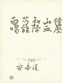 白芍和山楂泡水喝能降血压吗