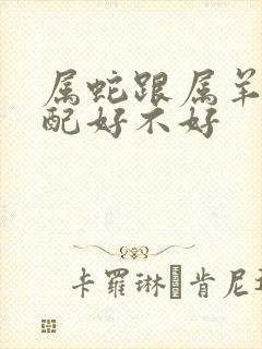 属蛇跟属羊的婚配好不好