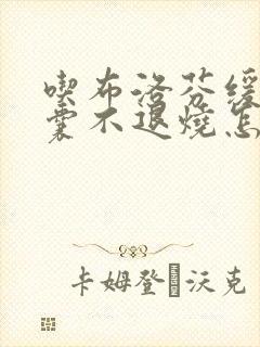 吃布洛芬缓释胶囊不退烧怎么办