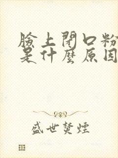 脸上闭口粉刺多是什么原因
