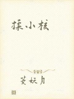 揉小核封面