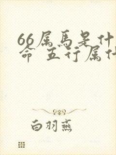 66属马是什么命 五行属什么封面