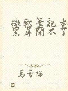 微软笔记本突然黑屏开不了机