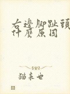 右边脚趾头麻是什么原因