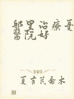 那里治疗忧郁症医院好封面
