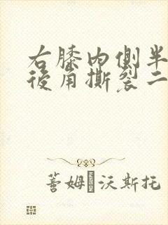 右膝内侧半月板后角撕裂二级