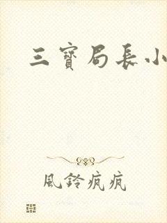 三宝局长小说