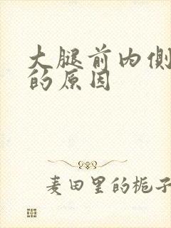 大腿前内侧疼痛的原因封面