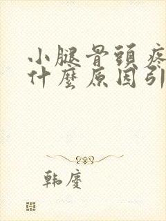 小腿骨头疼痛是什么原因引起的