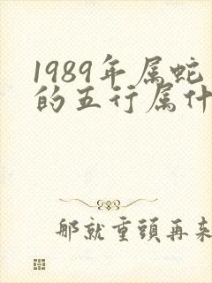 1989年属蛇的五行属什么命