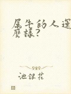 属牛的人运气怎么样?