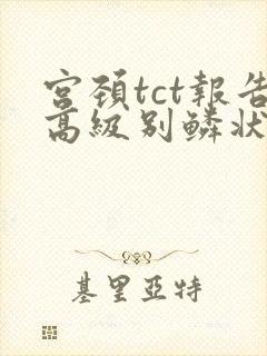 宫颈tct报告高级别鳞状上皮内病变