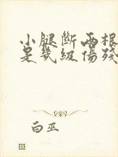 小腿断两根骨头是几级伤残