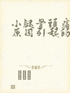 小腿骨头痛什么原因引起的女性