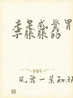 老是感觉胃和肚子胀胀的封面
