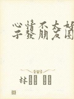 心情不太好的句子发朋友圈