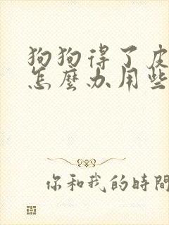 狗狗得了皮肤病怎么办用些啥药好