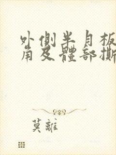 外侧半月板前后角及体部撕裂