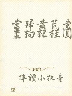 当归黄芪党参红枣枸杞桂圆