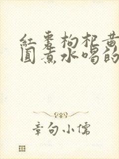 红枣枸杞黄芪桂圆煮水喝的功效
