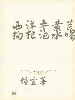 西洋参黄芪麦冬枸杞泡水喝的功效与作用封面