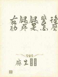 右腿腿弯后面的筋疼是怎么回事