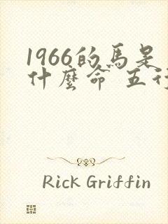 1966的马是什么命 五行属什么