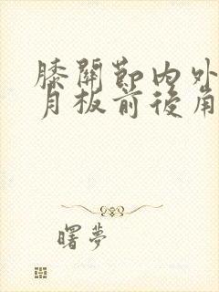 膝关节内外侧半月板前后角损伤