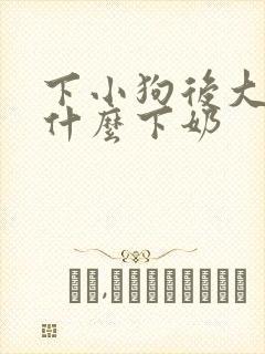 下小狗后大狗吃什么下奶