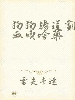 狗狗肠道划伤拉血吃啥药