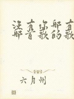 没有你哪有家是哪首歌的歌词