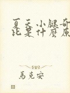 夏天小腿奇痒无比是什么原因