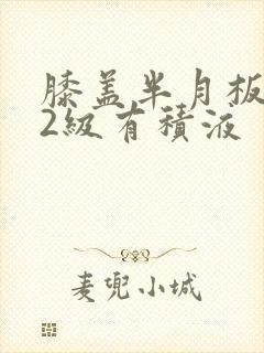 膝盖半月板损伤2级有积液