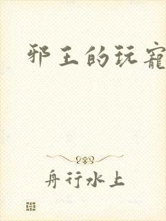 邪王的玩宠