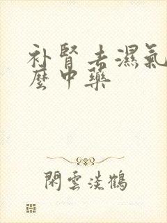 补肾去湿气吃什么中药