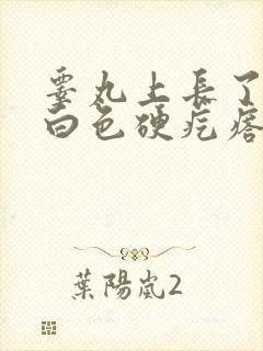 睾丸上长了一颗白色硬疙瘩