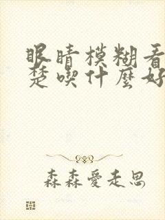 眼睛模糊看不清楚吃什么好