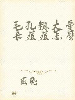 毛孔粗大爱出油长痘痘怎么办