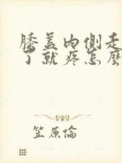 膝盖内侧走路多了就疼怎么回事封面