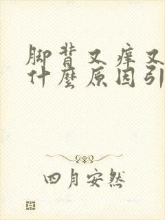 脚背又痒又肿是什么原因引起的封面