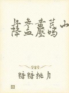 丹参黄芪山楂能降血压吗
