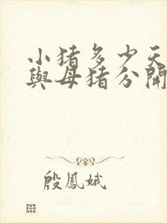 小猪多少天断奶与母猪分开