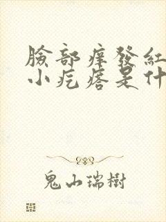 脸部痒发红还起小疙瘩是什么原因