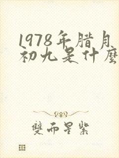 1978年腊月初九是什么命