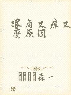 眼角又痒又痛什么原因