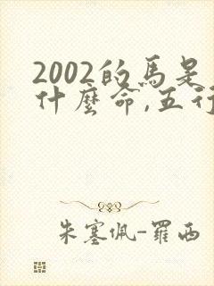 2002的马是什么命,五行属性封面