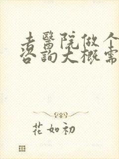 去医院做个心理咨询大概需要多少钱